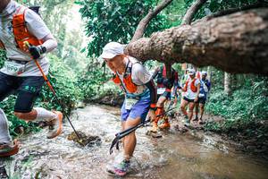 BIB: 
                            <button type="button" onclick="openModal(25374344)" class="btn btn-primary btn-sm float-right btn-popup" data-toggle="modal" data-target=".modal-high-quality">
                        <i class="fas fa-shopping-cart"></i> Add to Cart
                    </button>
                                            <button type="button" onclick="isThisMe(25374344, true)" class="btn btn-success btn-sm float-right btn-popup btn-isme hidden" data-toggle="tooltip" data-placement="bottom" title="นี่คือรูปของคุณใช่ไหม คลิกที่นี่เพื่อเอาเข้าอัลบั้ม">
                        <i class="fas fa-plus"></i> Add to album
                    </button>
                    <button type="button" onclick="isThisMe(25374344, false)" class="btn btn-warning btn-sm float-right btn-popup btn-isnotme hidden">
                        <i class="fas fa-ban"></i> Remove from album
                    </button>